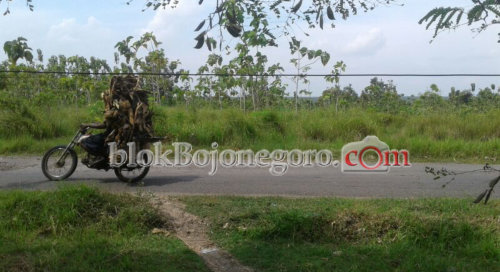 Berbahaya, Kabel Listrik di Trenggulunan Tak Beraturan